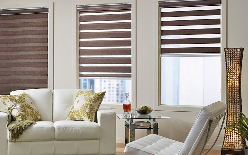 online-zebra-blinds-company-andheri-apex-blinds-companies