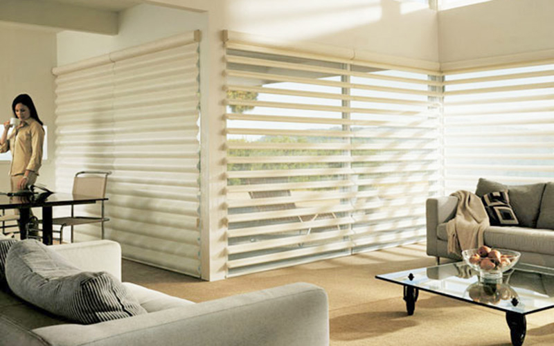 Top Blinds Companies In Delhi